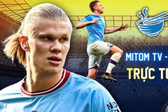 mitom-tv